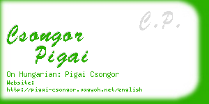 csongor pigai business card